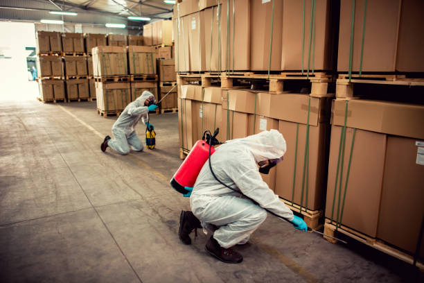 Best Pest Inspection Near Me  in Munfordville, KY