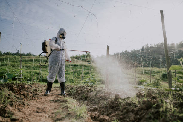 Best Pest Prevention Services  in Munfordville, KY