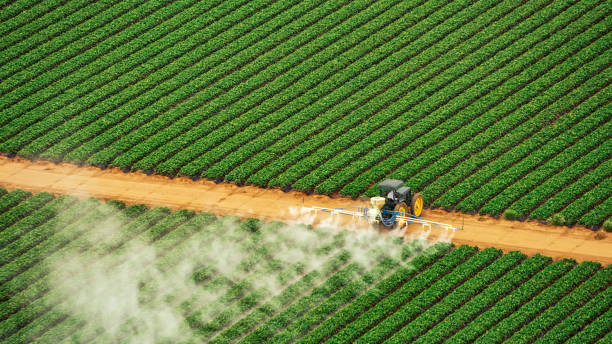 Best Pest Control Near Me in Munfordville, KY