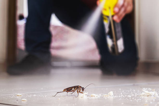 Best Pest Removal Services  in Munfordville, KY